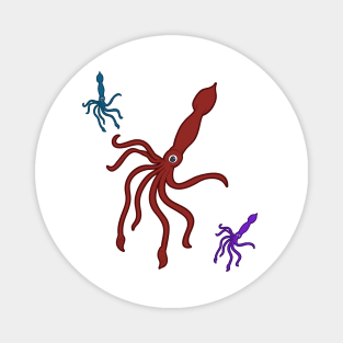 Squids Magnet